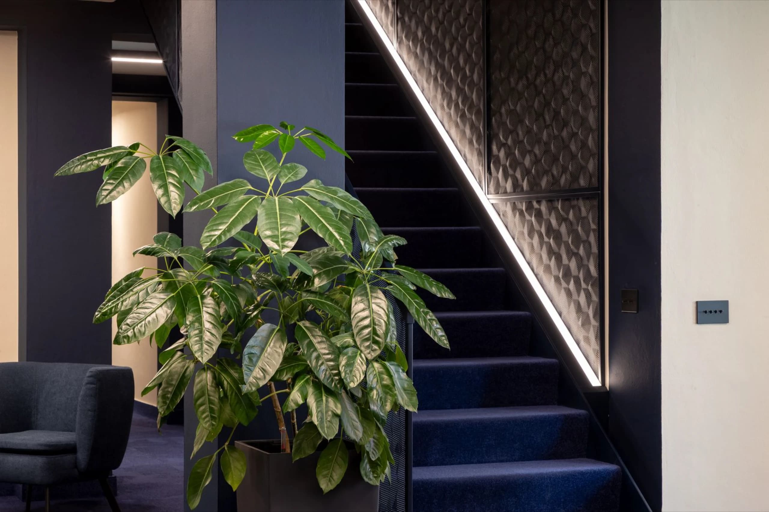 Büro Treppe